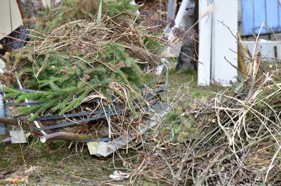 Cost of Brush Clearing — Cost of Brush Clearing