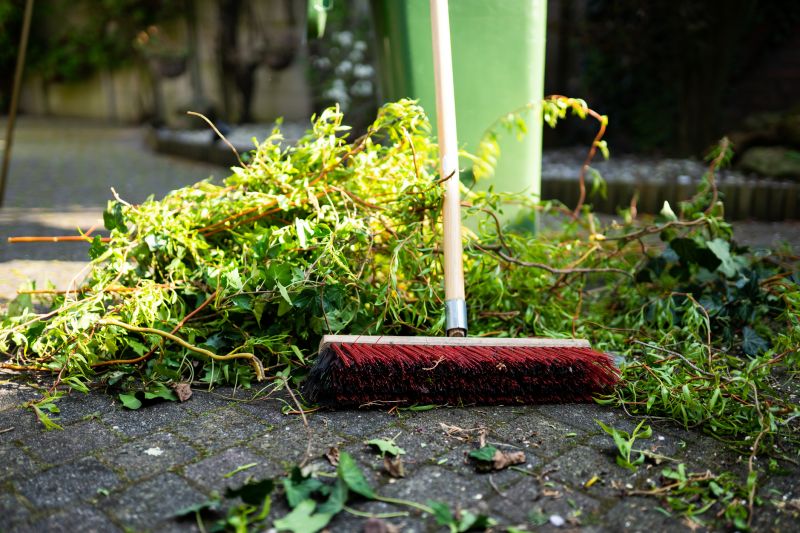 Cost of Brush Clearing — Cost of Brush Clearing