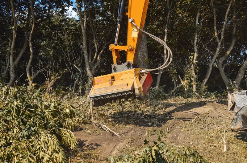 Cost of Brush Clearing — Cost of Brush Clearing