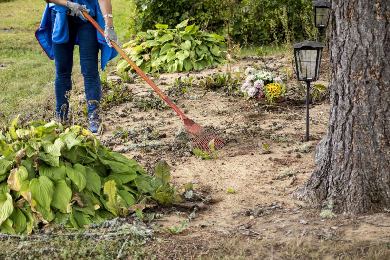 Experienced Vegetation Removal Teams