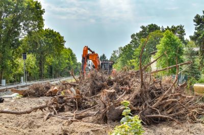 Get Rid of Unwanted Brush and Vegetation!